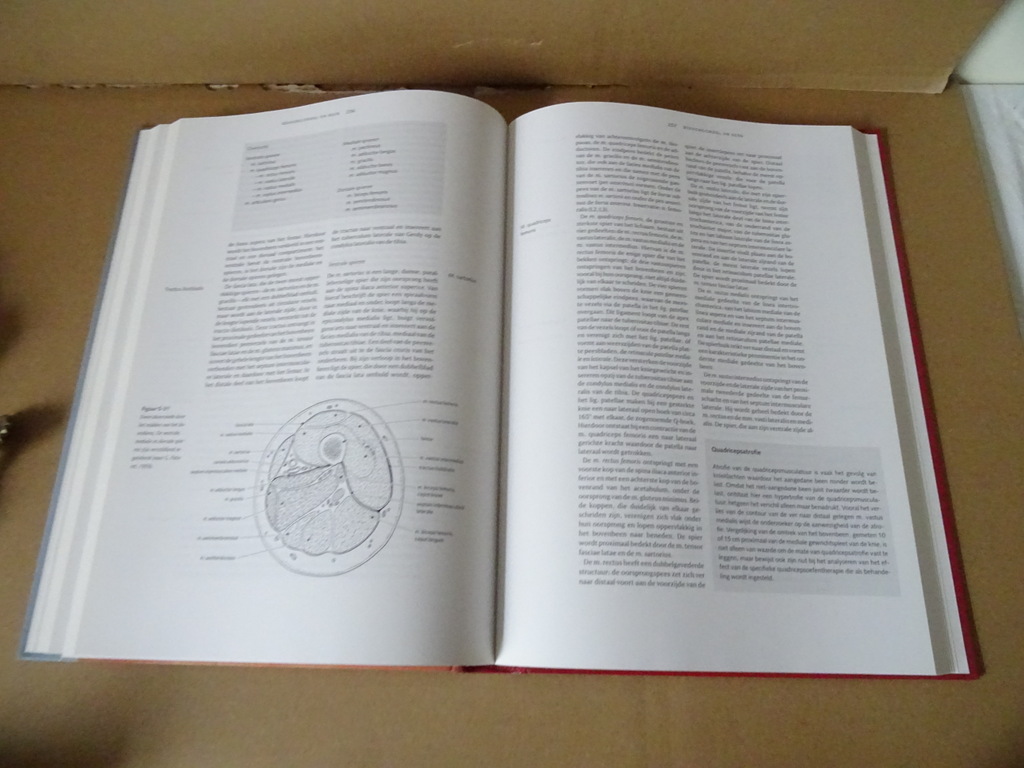 Dr. A.H.M. Lohman Vorm en beweging - Afbeelding 9