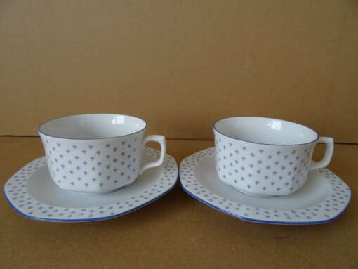 Vintage kop en schotels Seltmann