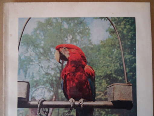 Ouwehands dierenpark plaatjesalbum vintage
