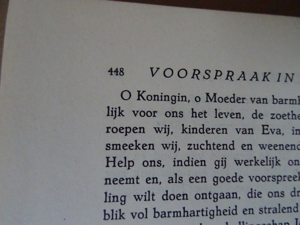 R. Bernard O.P. Het Maria-mysterie - Afbeelding 9