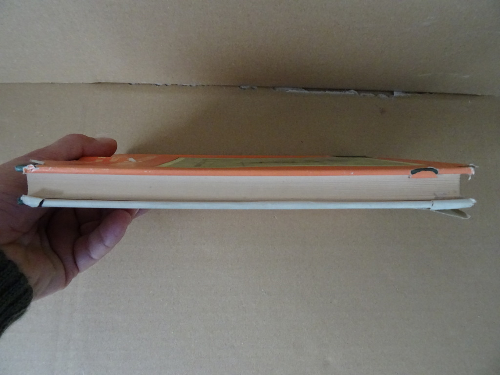 John Henry Newman Protestanten en katholieken John Henry Newman Protestanten en katholieken