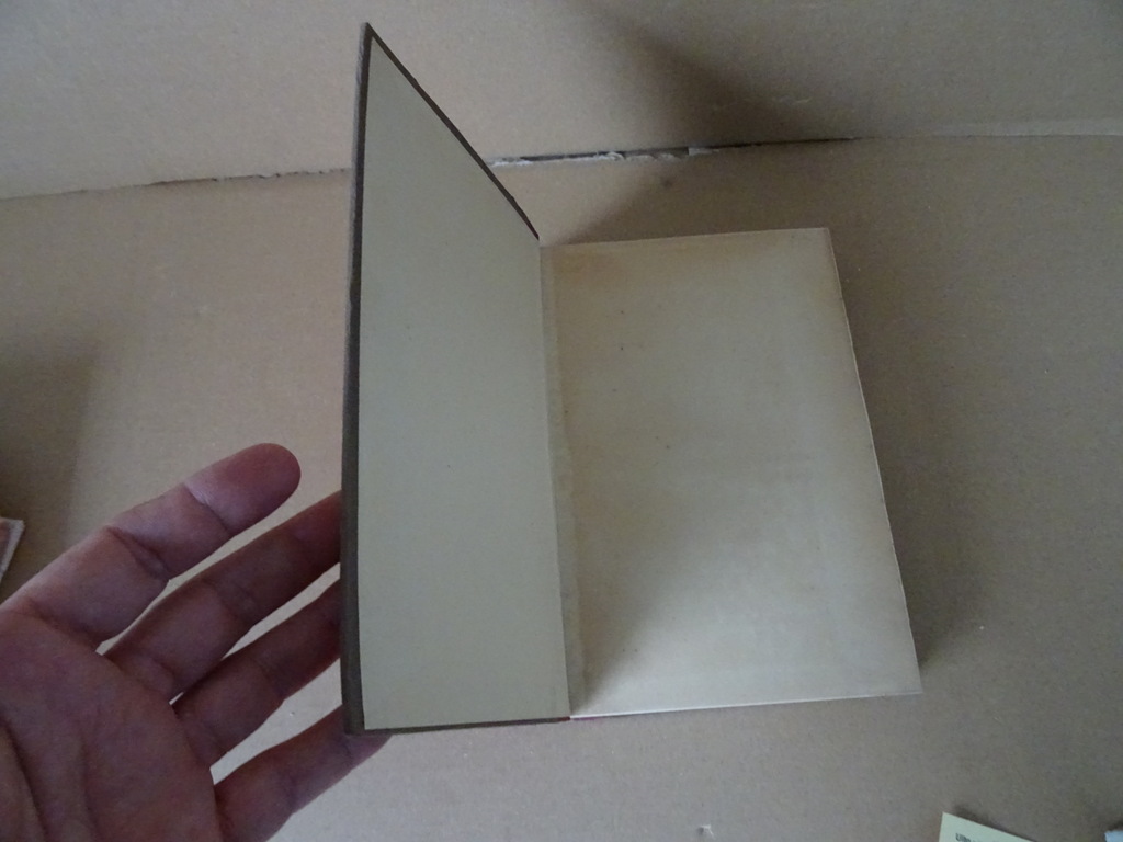 X.P.D. Duijnstee 'S Pausen primaat X.P.D. Duijnstee 'S Pausen primaat