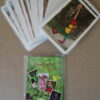 Ravensburger Efteling Sprookjesboom kwartet