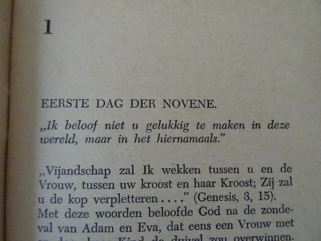 Novene van de Geestelijke Bedevaart - Afbeelding 5