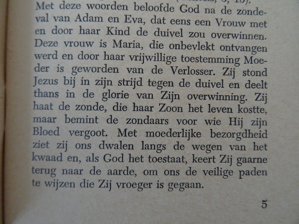 Novene van de Geestelijke Bedevaart - Afbeelding 6