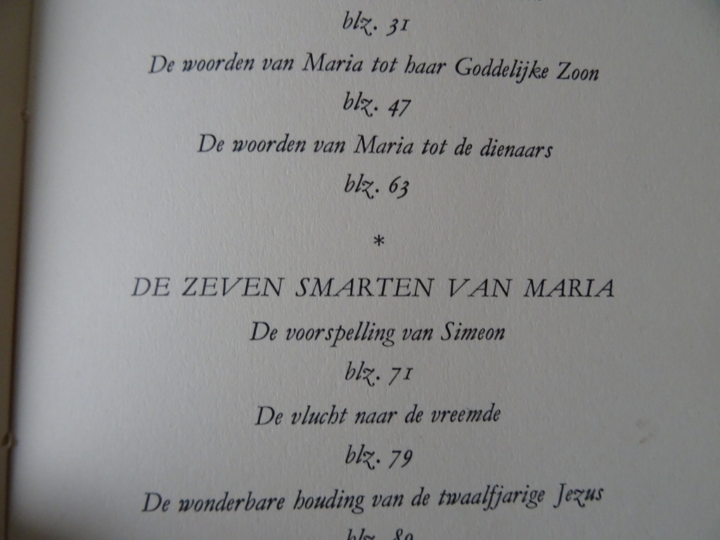 Peter Lippert Maria - Afbeelding 13