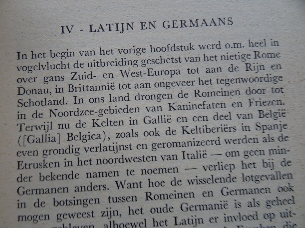 Prof. Dr. Gerlach Royen Latijn en Grieks dat wij allen spreken - Afbeelding 8
