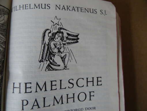 Wilhelmus Nakatenus S.J. Hemelsche Palmhof