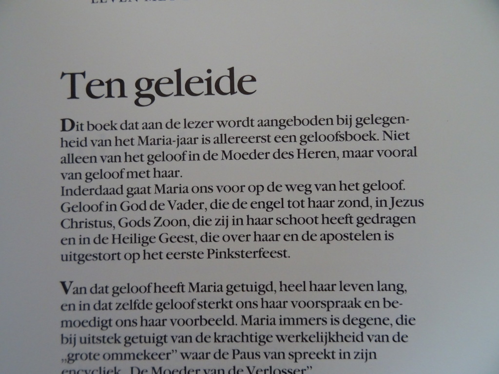 Leven met de moeder van de Heer - Afbeelding 35