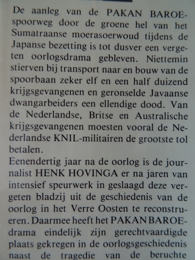 Henk Hovinga Dodenspoorweg door het oerwoud - Afbeelding 5
