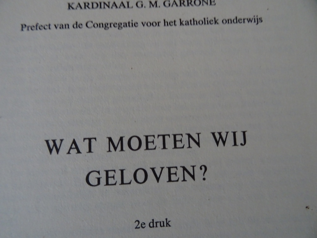 Kardinaal G.M. Garrone Wat moeten wij geloven? - Afbeelding 5