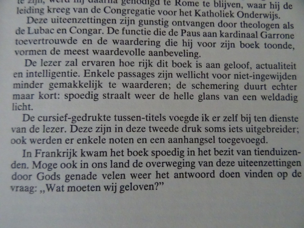 Kardinaal G.M. Garrone Wat moeten wij geloven? - Afbeelding 9