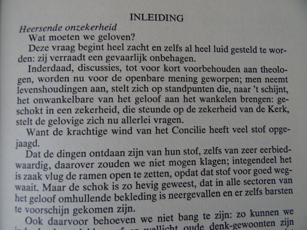 Kardinaal G.M. Garrone Wat moeten wij geloven? - Afbeelding 10