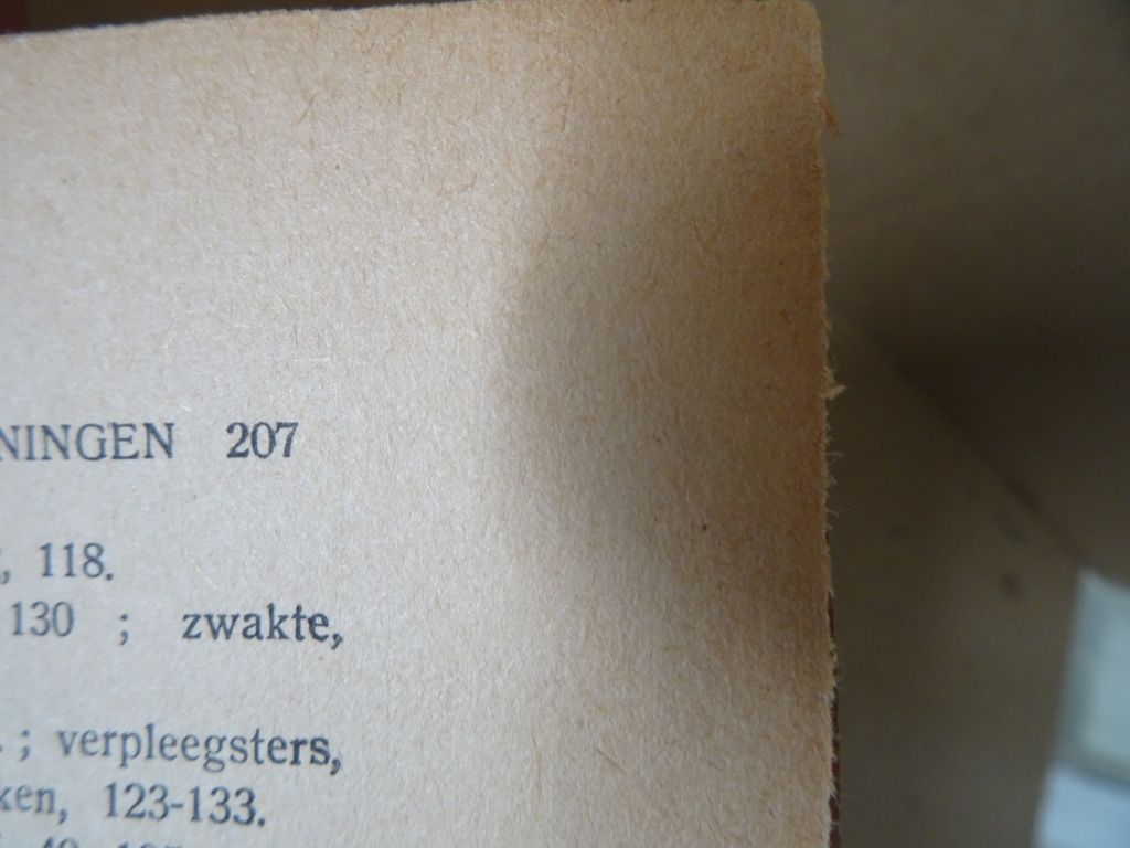J. Salsmans S.J. Biecht-hooren - Afbeelding 13
