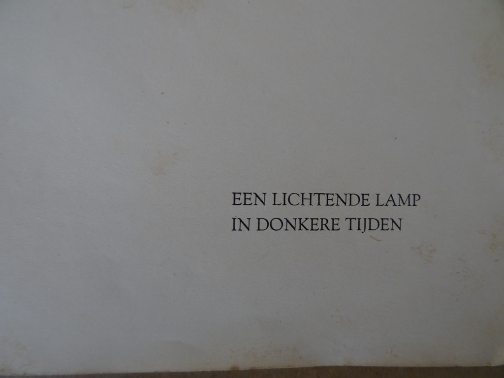 Pax Christi J.M. en J.T. Een lichtende lamp in donkere tijden - Afbeelding 8