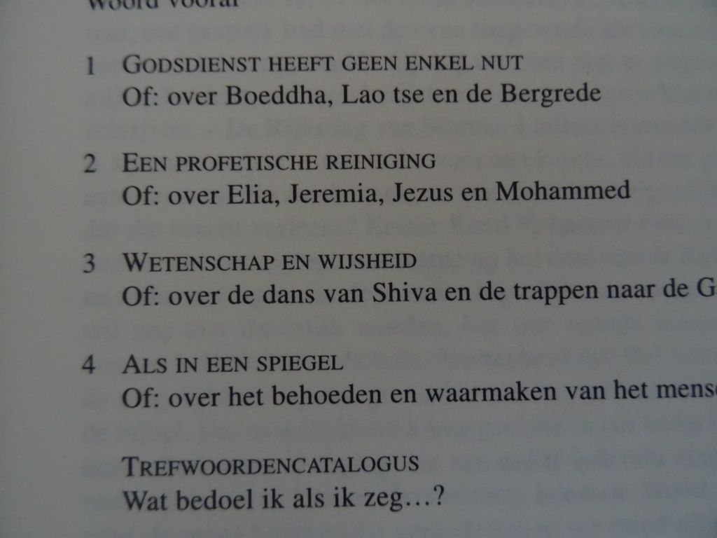 Eugen Drewermann Is er hoop voor het geloof? - Afbeelding 8