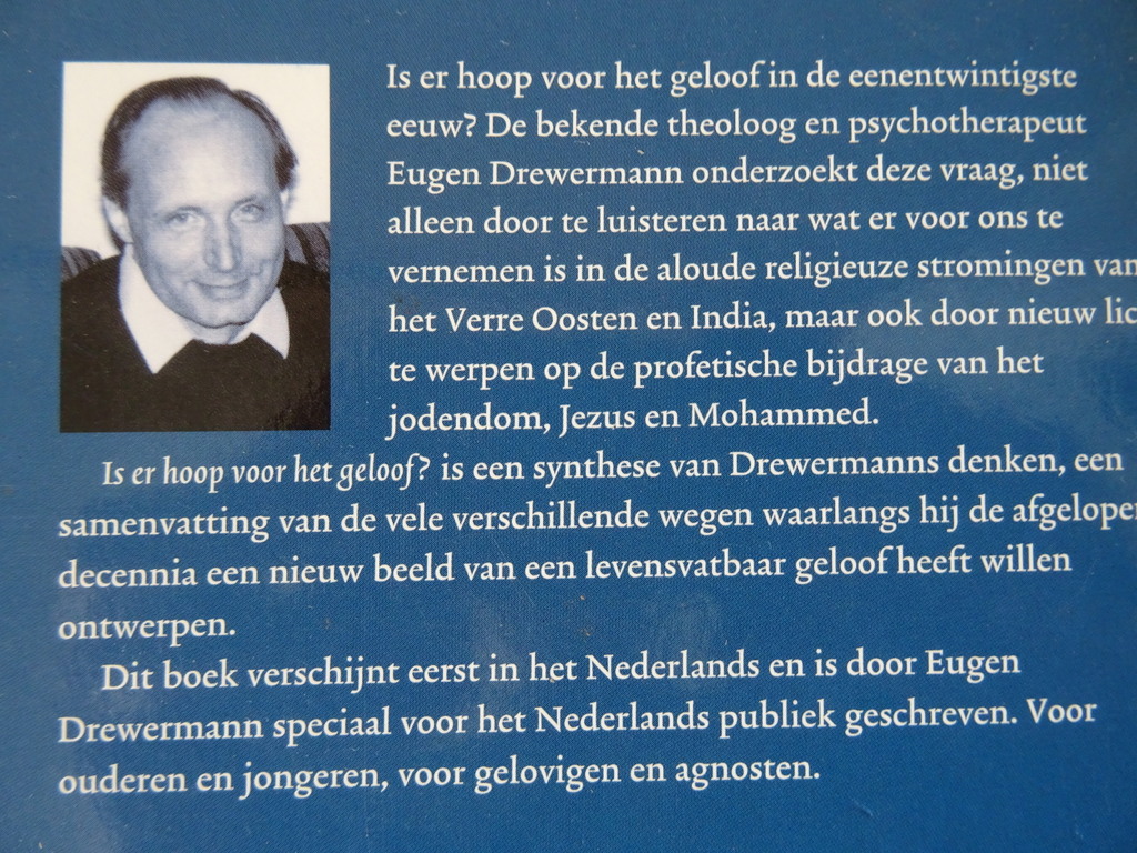 Eugen Drewermann Is er hoop voor het geloof? - Afbeelding 12