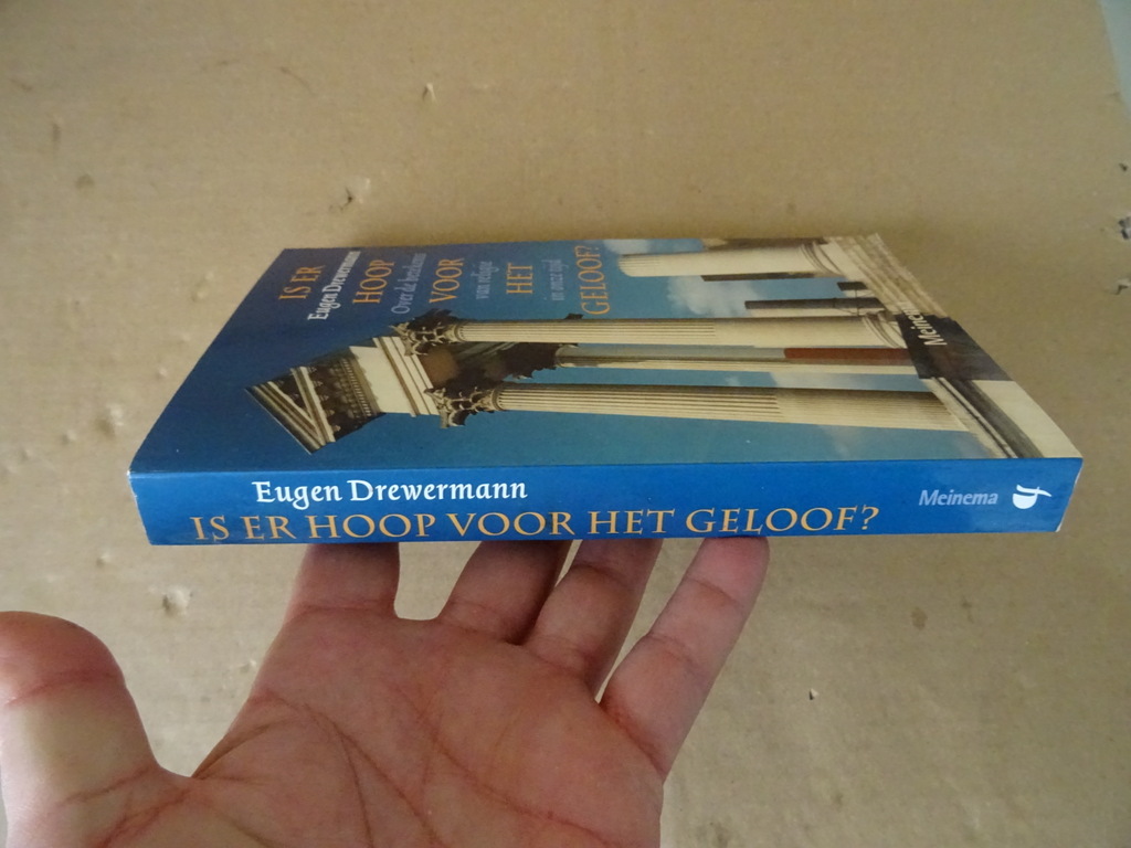 Eugen Drewermann Is er hoop voor het geloof? - Afbeelding 15