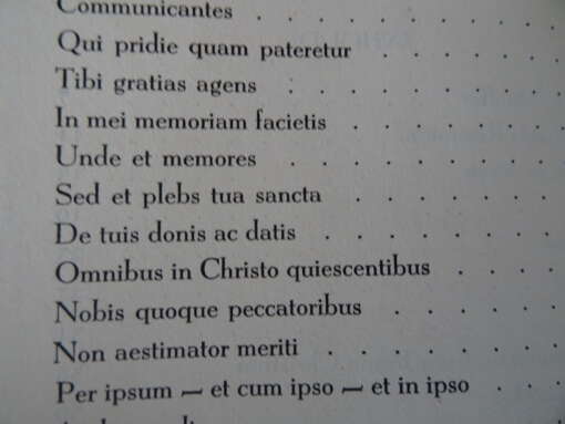 Paul de Chastonay Introibo Een priesterboek