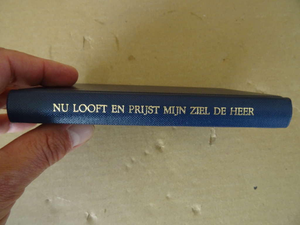 Pelgrimboekje Nu looft en prijst mijn ziel de Heer - Afbeelding 10