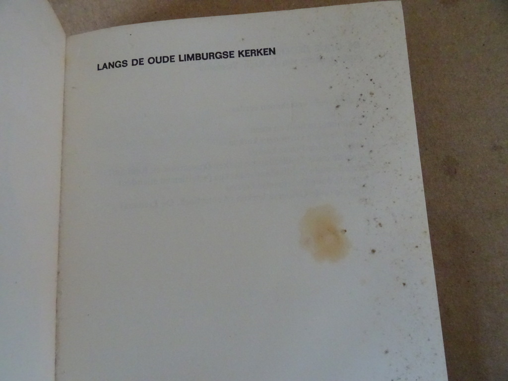 Drs. Charles Genders Langs de oude Limburgse kerken - Afbeelding 6