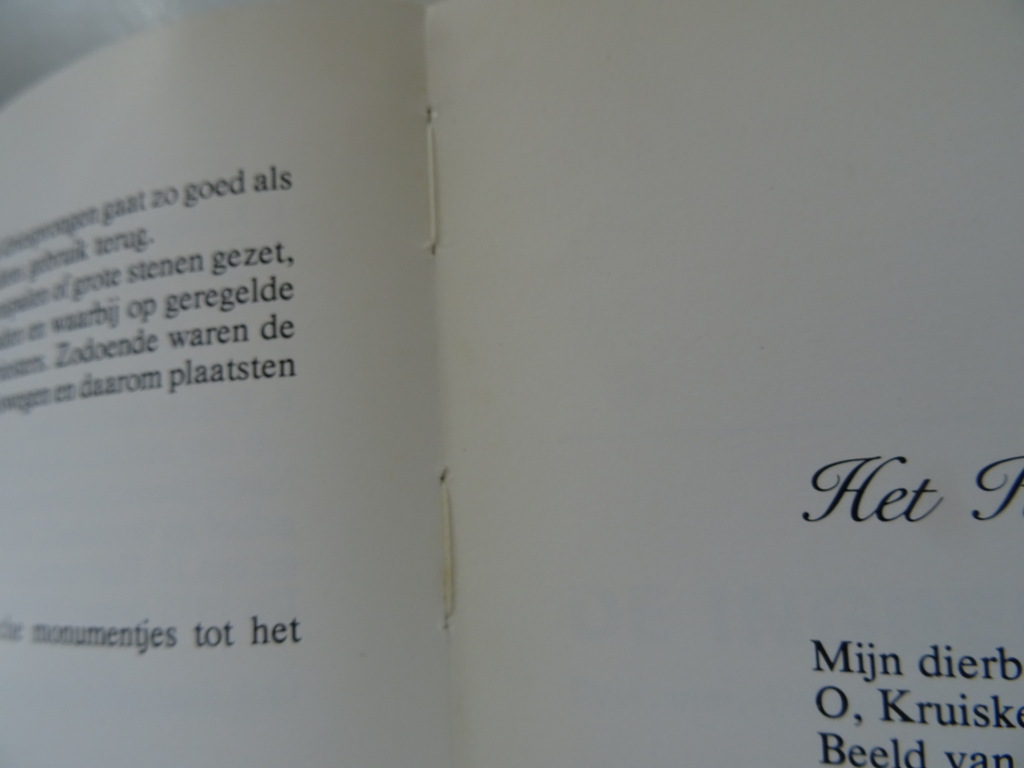 Bertine Leenaerts Wandelen langs de Gulpener wegkruisen - Afbeelding 11