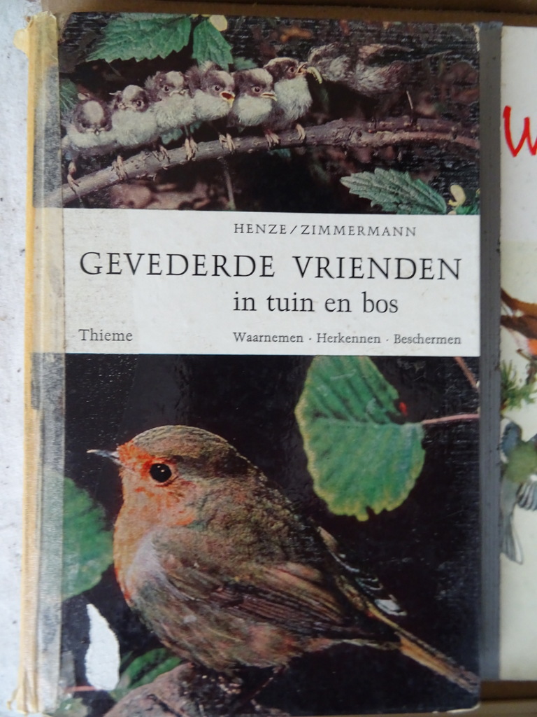 Collectie boeken over vogels - Afbeelding 2