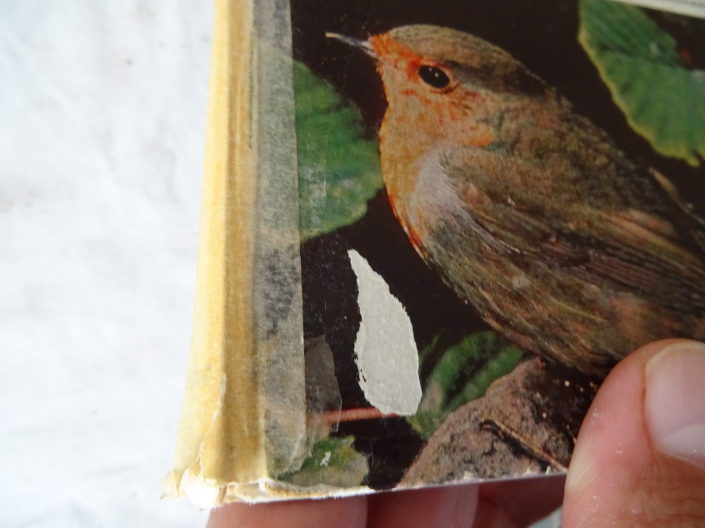 Collectie boeken over vogels - Afbeelding 3