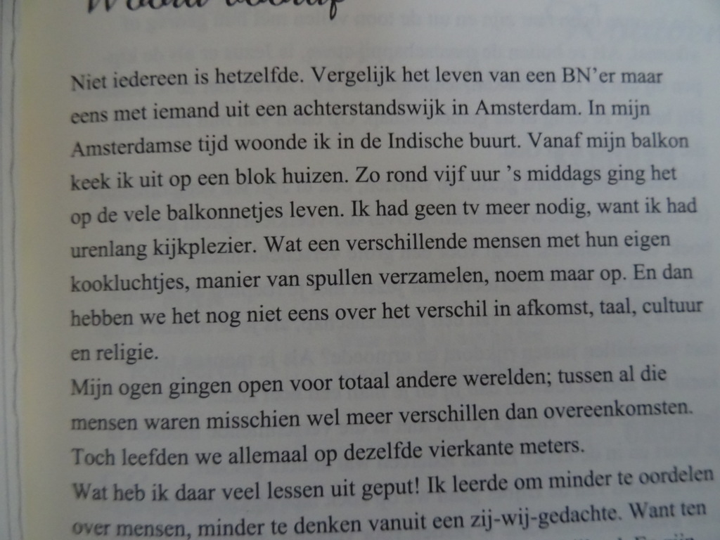 Jantine Veenhof Veelkleurigheid - Afbeelding 5