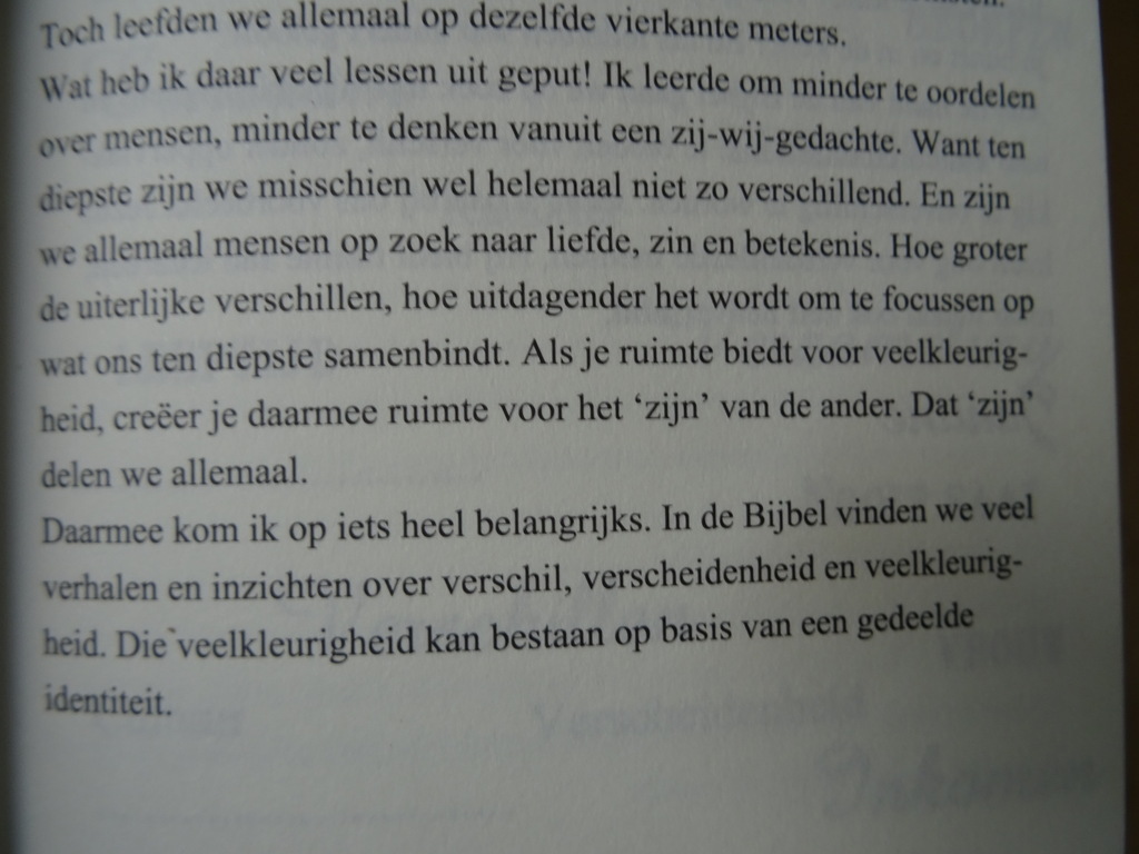Jantine Veenhof Veelkleurigheid - Afbeelding 7