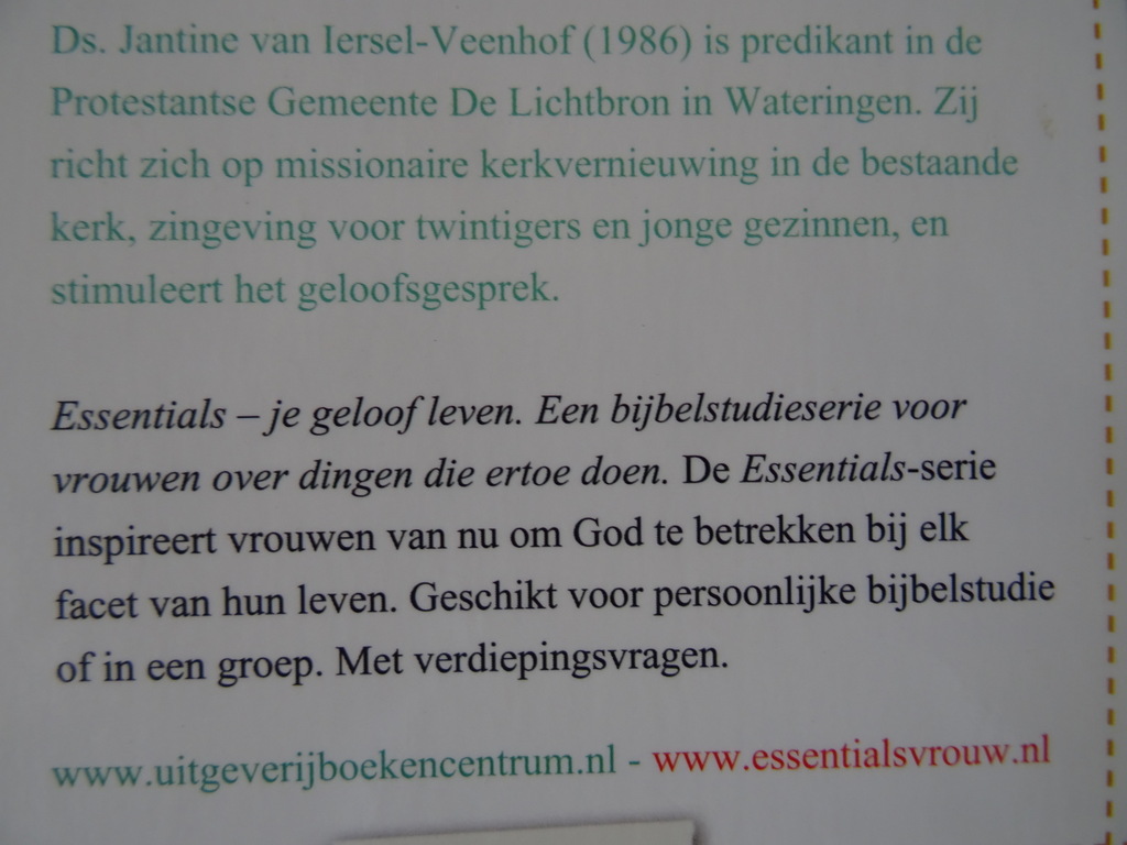 Jantine Veenhof Veelkleurigheid - Afbeelding 13