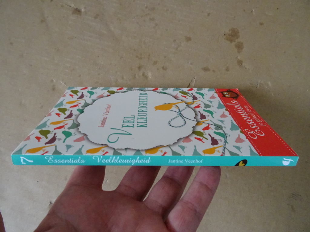 Jantine Veenhof Veelkleurigheid - Afbeelding 14