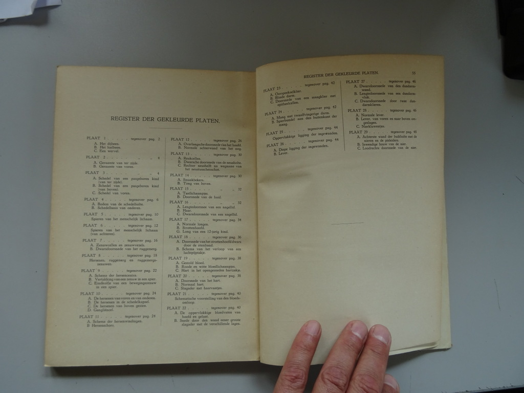Dr. L.S. Meijer Het menschelijk lichaam - Afbeelding 15