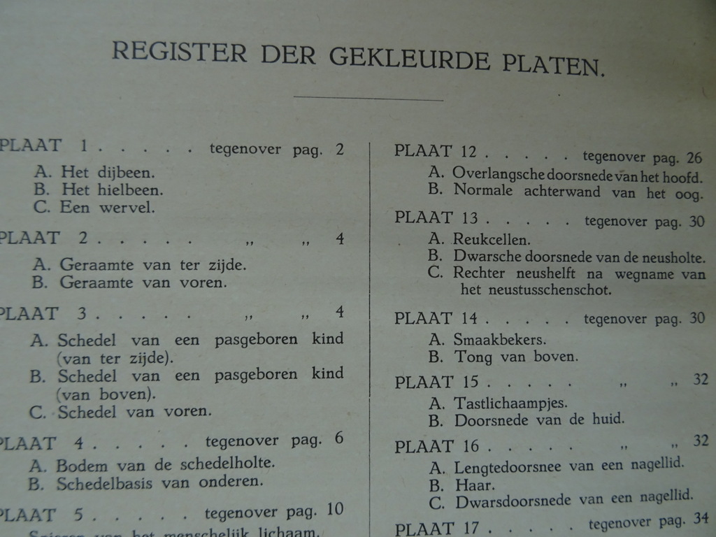Dr. L.S. Meijer Het menschelijk lichaam - Afbeelding 16