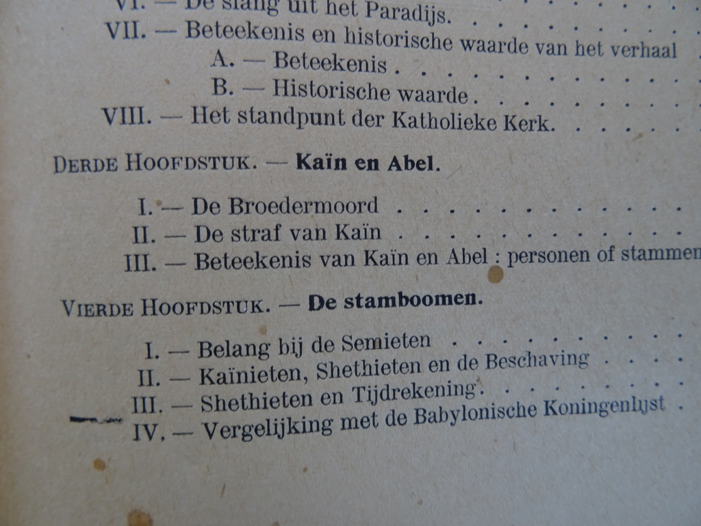 TH. van Tichelen Schepping en zondvloed - Afbeelding 11
