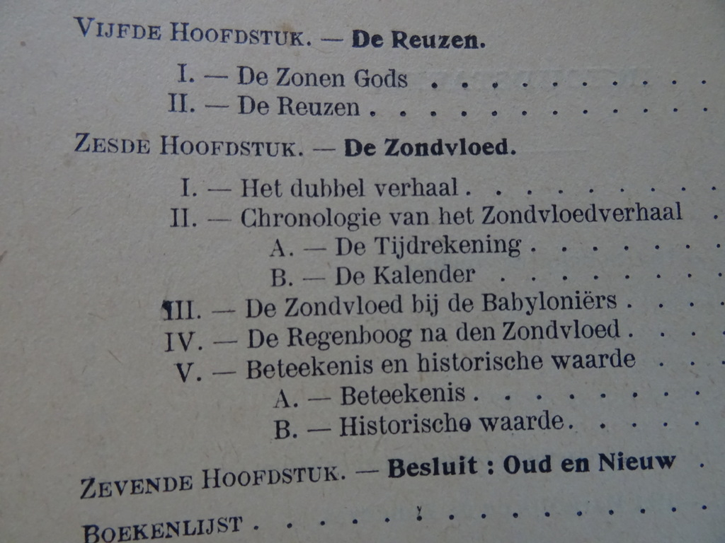 TH. van Tichelen Schepping en zondvloed - Afbeelding 12