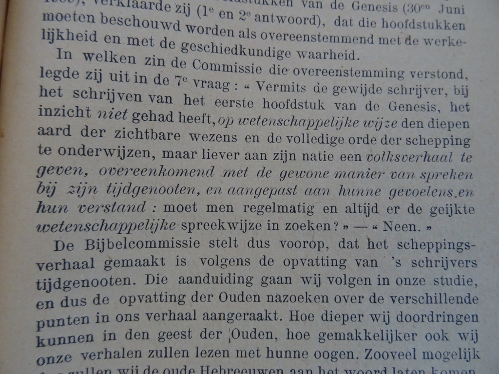 TH. van Tichelen Schepping en zondvloed - Afbeelding 14
