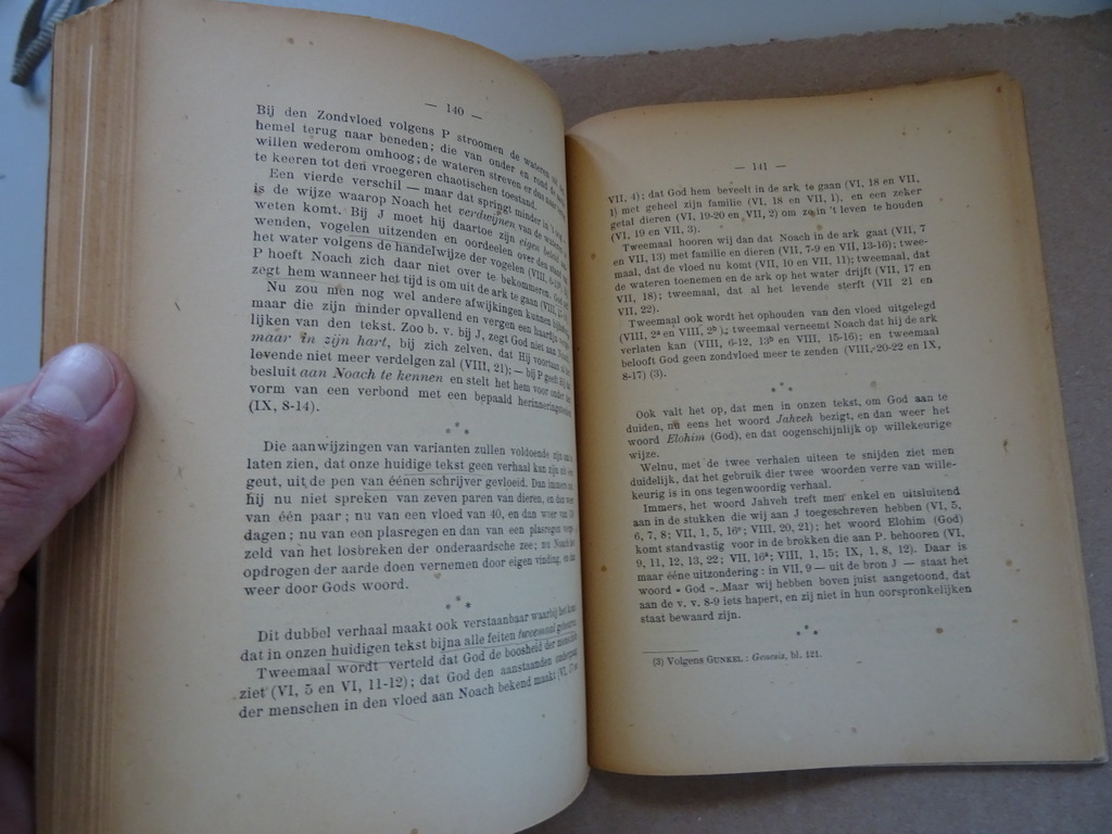 TH. van Tichelen Schepping en zondvloed - Afbeelding 16