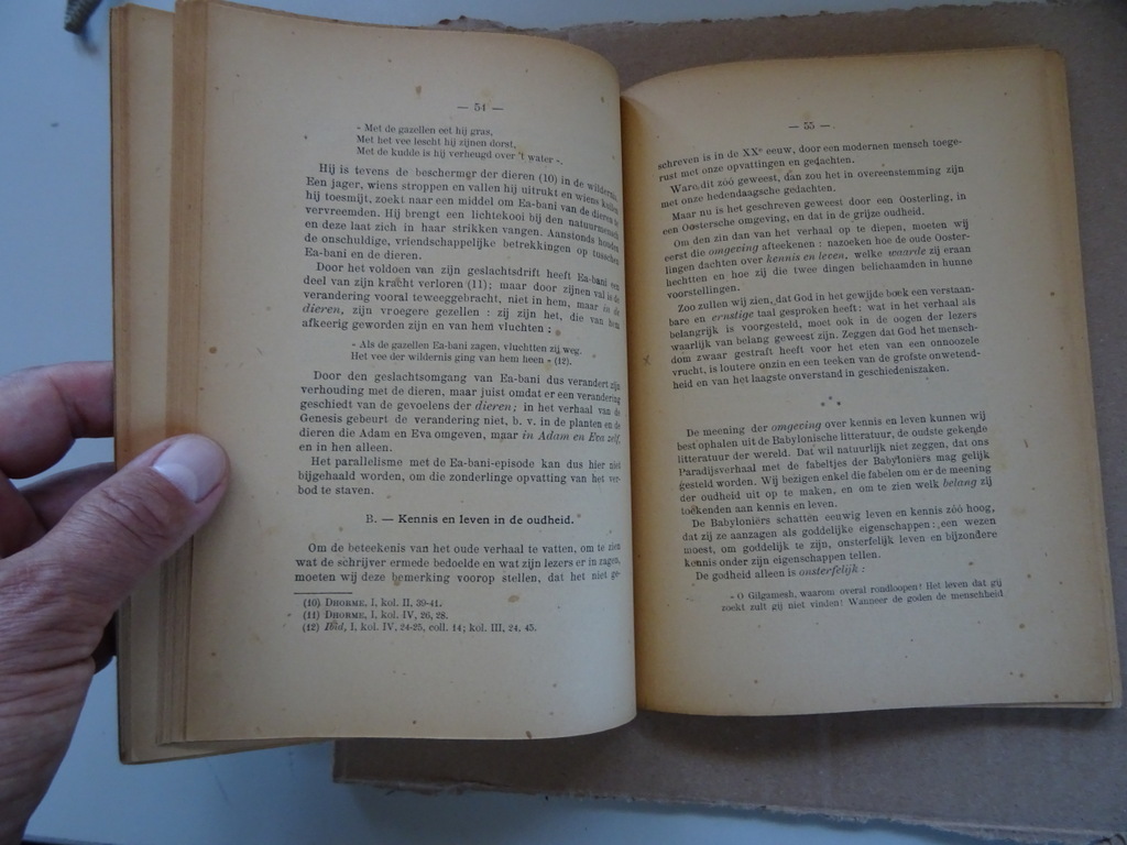 TH. van Tichelen Schepping en zondvloed - Afbeelding 17