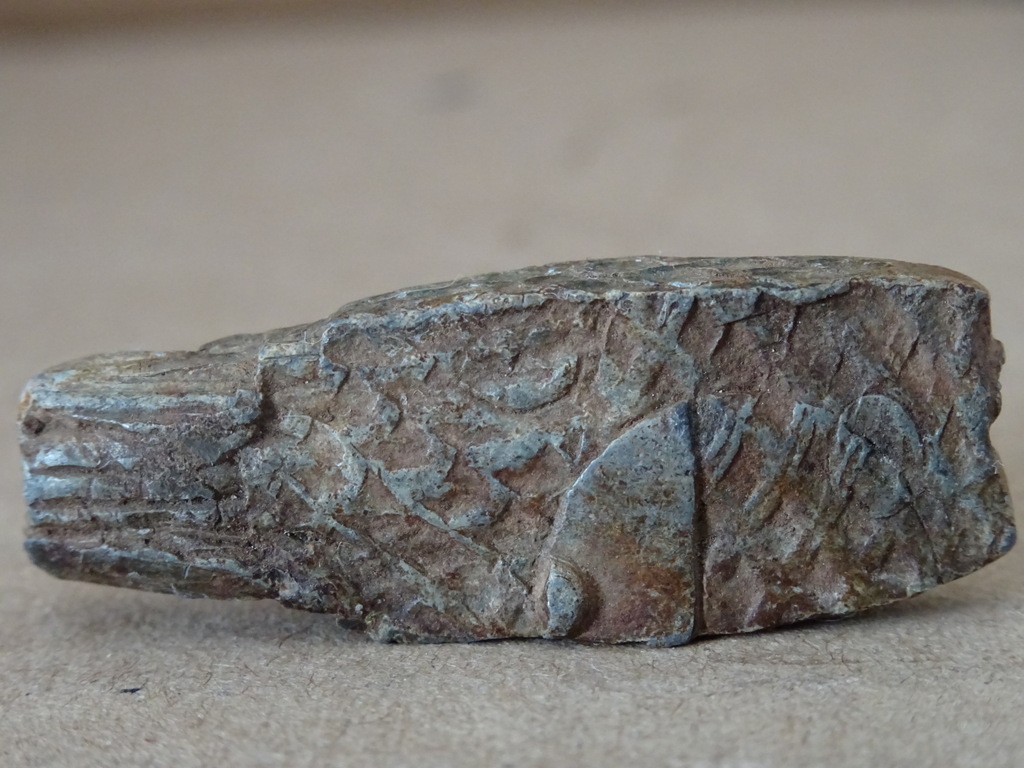 Bodemvondst middeleeuws bronzen visloodje - Afbeelding 3