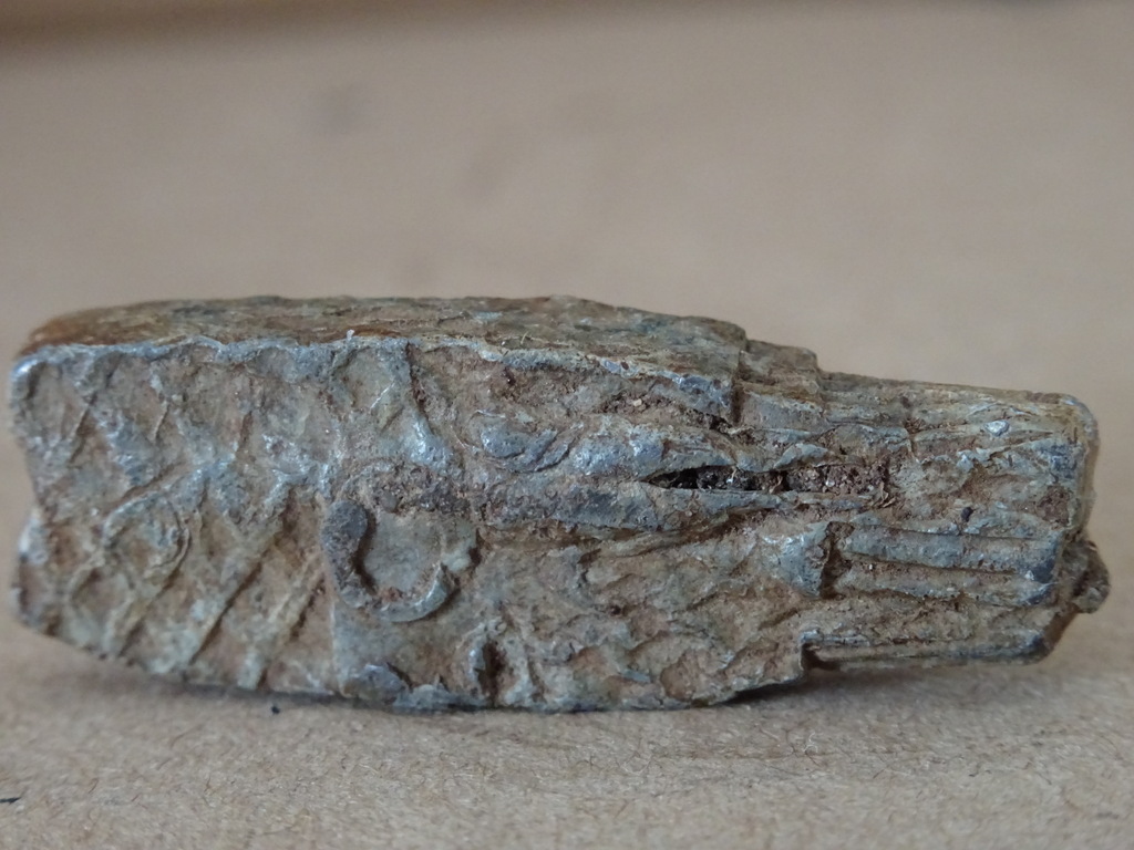 Bodemvondst middeleeuws bronzen visloodje