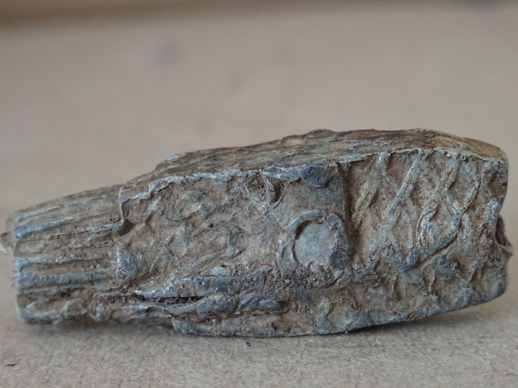 Bodemvondst middeleeuws bronzen visloodje - Afbeelding 4