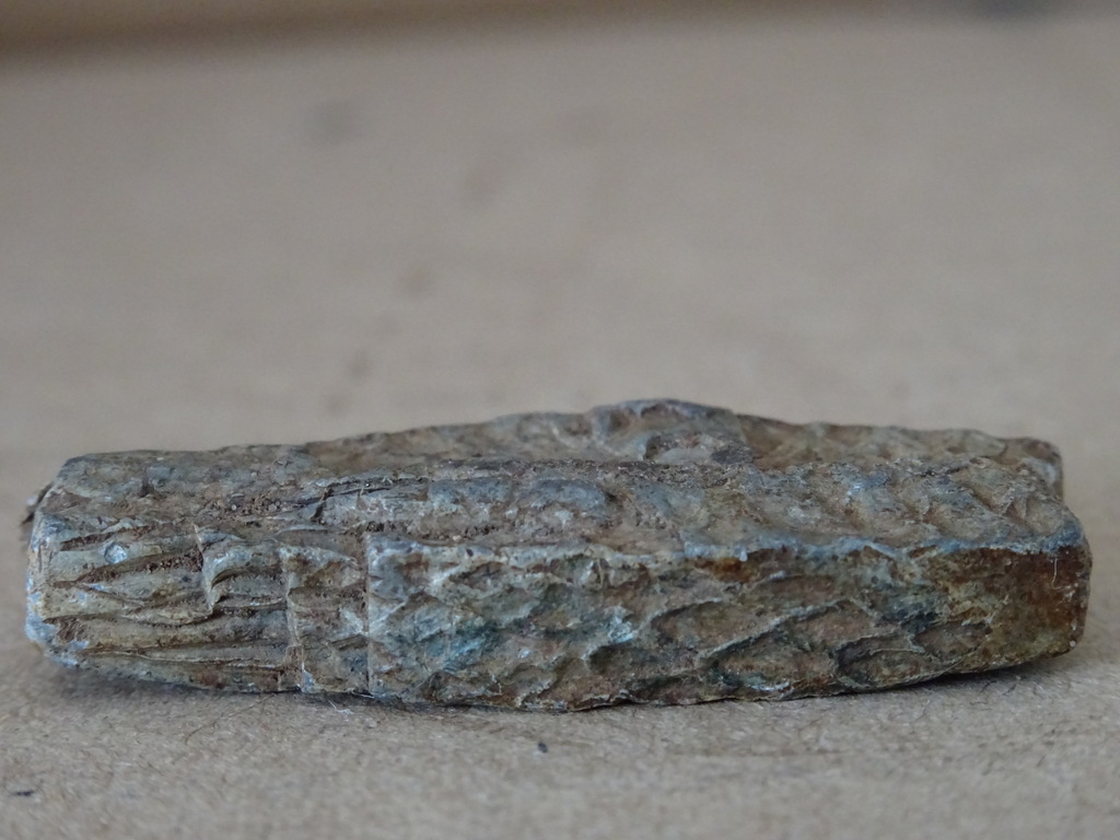 Bodemvondst middeleeuws bronzen visloodje - Afbeelding 5