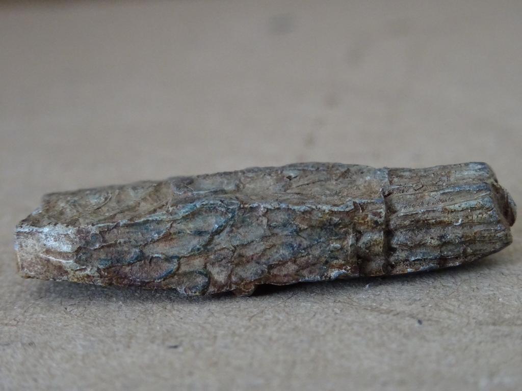Bodemvondst middeleeuws bronzen visloodje - Afbeelding 7