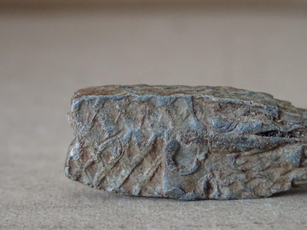 Bodemvondst middeleeuws bronzen visloodje - Afbeelding 12