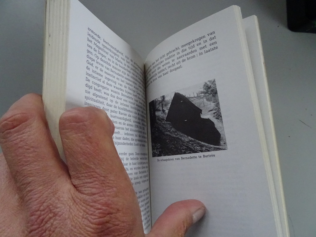 René Laurentin Het leven van Bernadette - Afbeelding 12