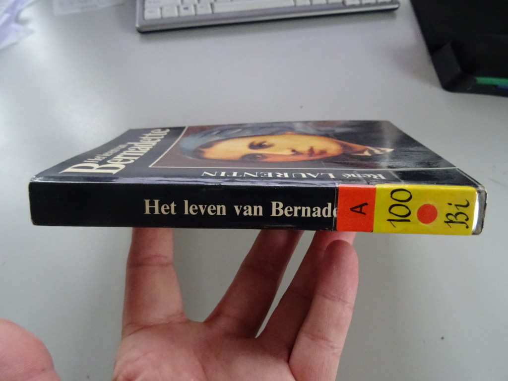 René Laurentin Het leven van Bernadette - Afbeelding 16