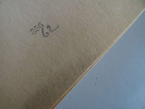 P. Constantinus O.F.M. CAP. Onder Gods ogen