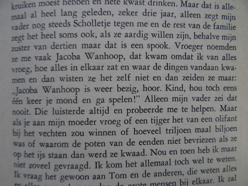 Wil Huygen Scholletje - Afbeelding 9