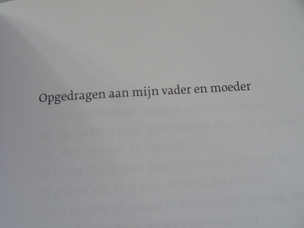 Huub Buijssen Het hart wordt niet dement Handboek - Afbeelding 6